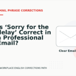Is ‘Sorry for the delay’ Correct in a Professional Email?