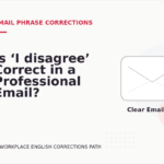 Is ‘I disagree’ Correct in a Professional Email?